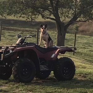 Meet your Posher, Joshua